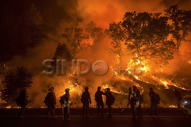 Kebakaran Lahan di California, 400 Rumah Hangus