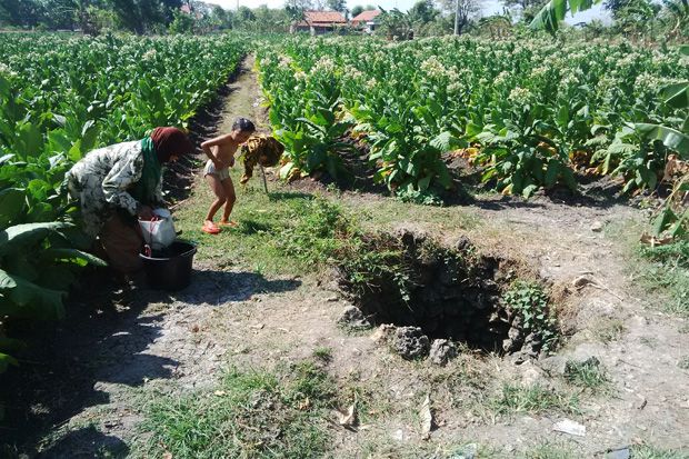 Kemarau, Sumber Mata Air di Serang Mengering