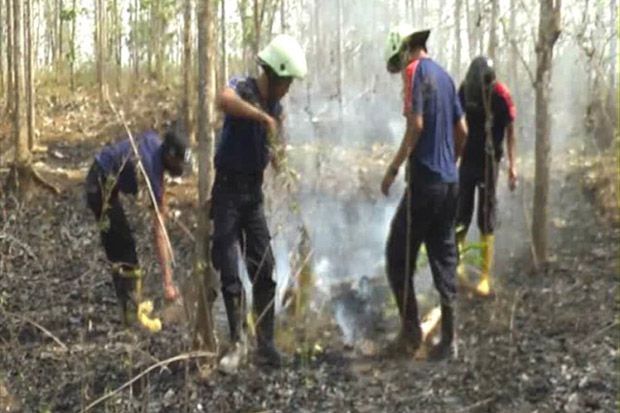 30 Hektare Hutan Jati di Sragen Terbakar