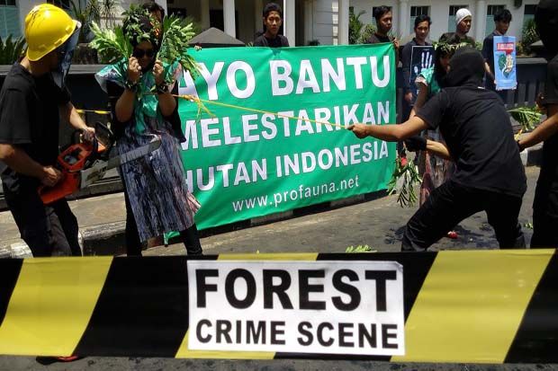 Profauna Sebut Hutan Indonesia Tersisa 82 Juta Hektare