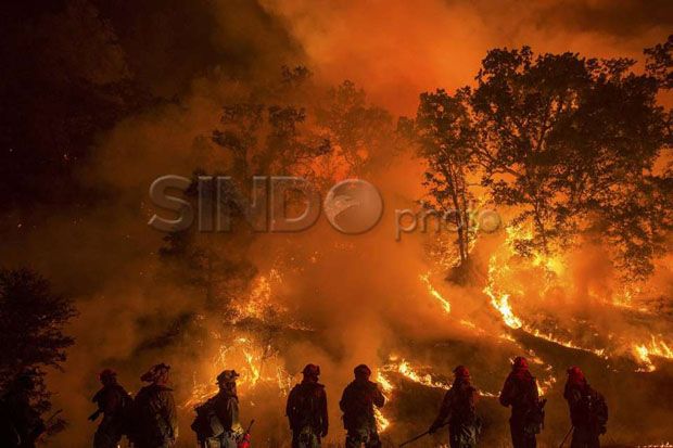 Walhi Ungkap Perusahaan Hutan di Sumatera Miliki Titik Api