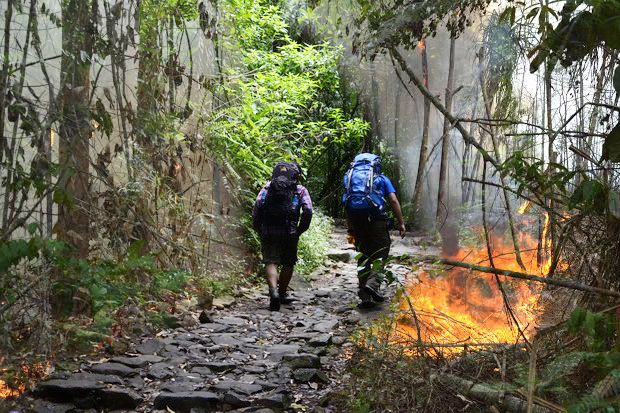 6 Mahasiswa UNY Terjebak Kebakaran di Puncak Gunung Wilis