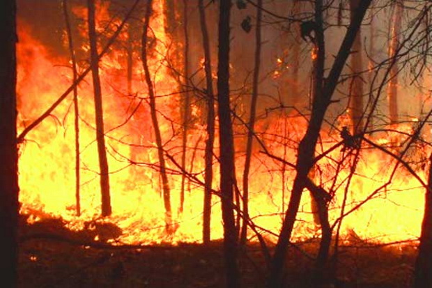 BMKG Catat 310 Titik Api di Kalimantan Barat