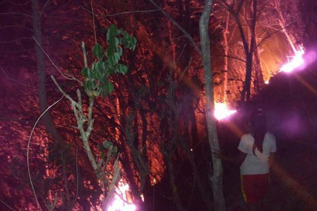 Hutan Rakyat di Purworejo Juga Terbakar