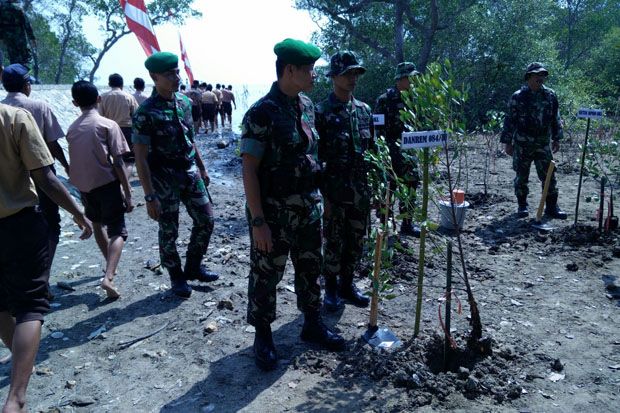 Cegah Abrasi, Anggota TNI Tanam 1.000 Mangrove di Pesisir