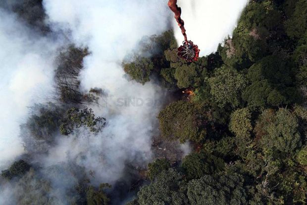 Menhut Era SBY Ikut Bersuara Soal Kebakaran Hutan