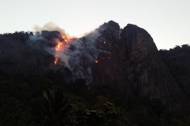 Brimob Bantu Padamkan Api di Gunung Parang