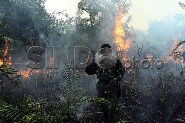 Pembakaran Hutan Dinilai Kejahatan Extraordinary Crime