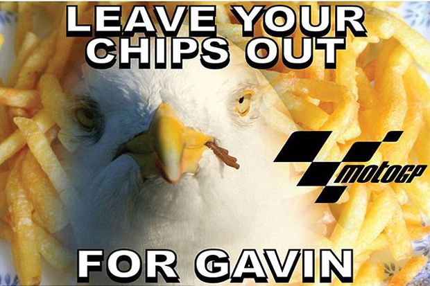 Australia Berduka untuk Gavin, Si Burung Camar Korban MotoGP