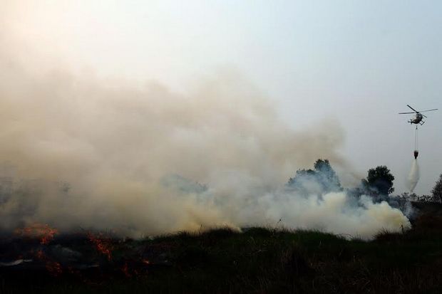 Warga Malaysia dan India Jadi Tersangka Pembakaran Lahan Riau