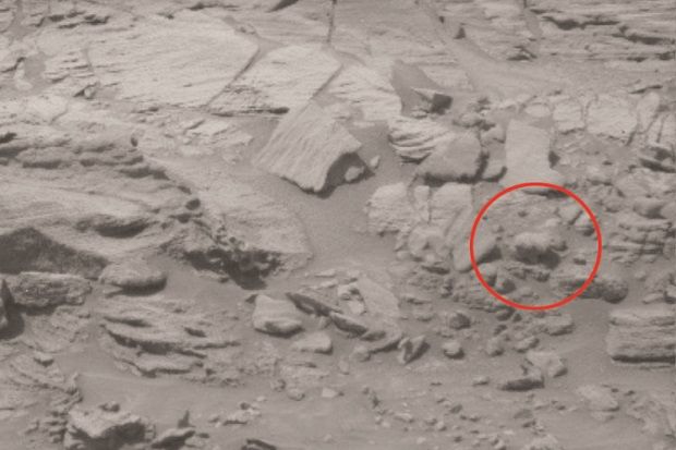 Objek Diduga Anak Beruang Tertangkap Kamera di Mars