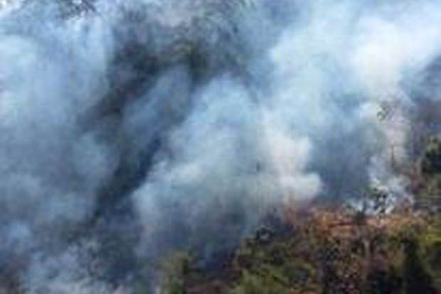 Cegah Kebakaran Hutan, Ini Imbauan BPBD Pangandaran
