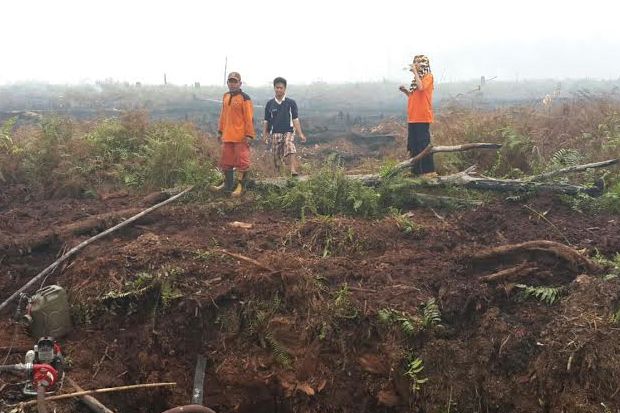 Indonesia Journalist Network Tanam 1.000 Pohon di Papua