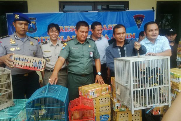 Penyelundupan Ribuan Ekor Burung dari Banjarmasin Digagalkan