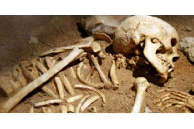 Temuan Tulang dan Tengkorak Manusia Gegerkan Warga Denpasar