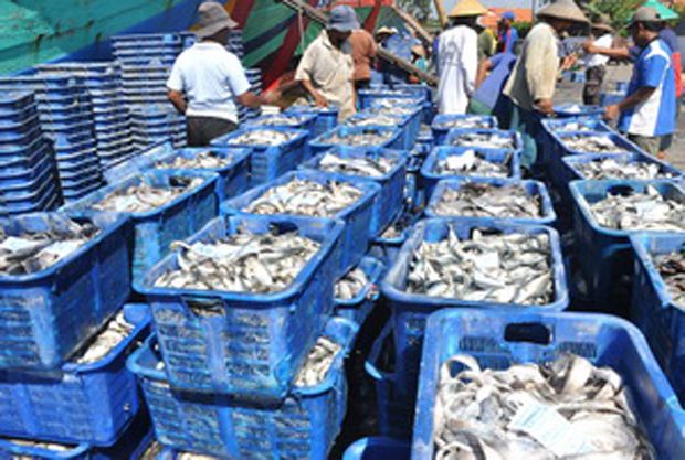 KKP Kembangkan 104 Kota Minapolitan Genjot Produksi Ikan