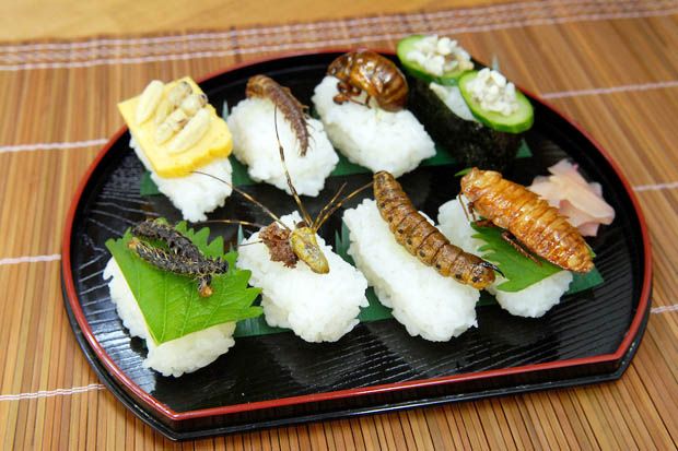 Jepang Gelar Festival Ekstrim, Makan Sushi Serangga