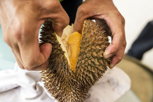 7 Manfaat Kesehatan dari Buah Durian