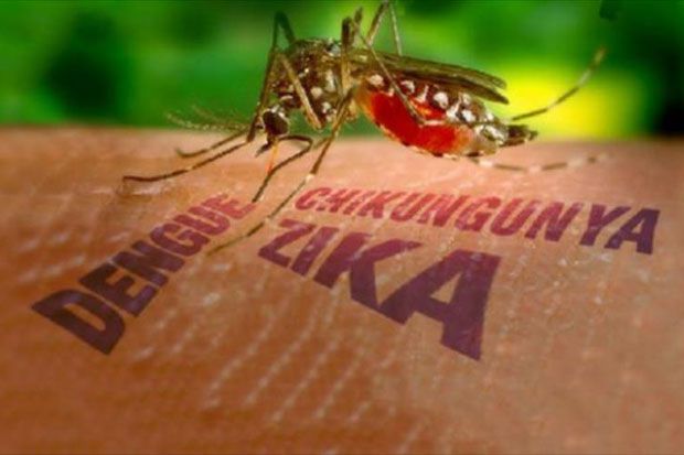 Ini Cara Penularan Virus Zika