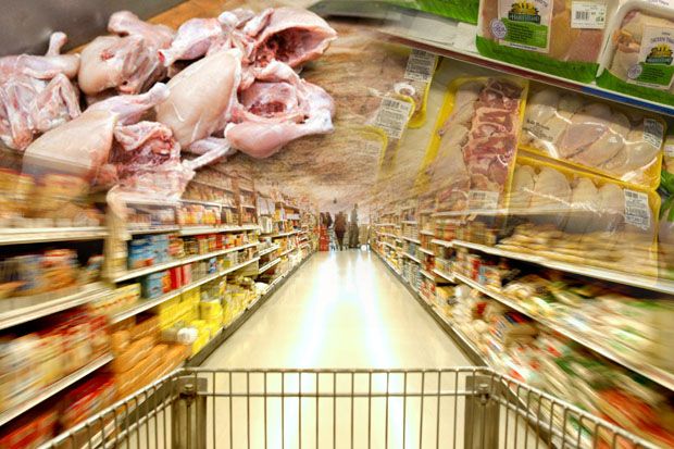 Pemasok Ayam Potong Terbesar ke Supermarket Tak Bersetifikat