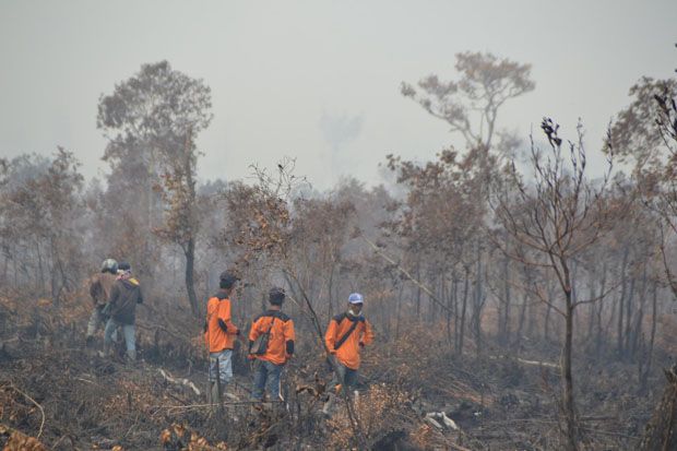 Cuaca Panas, 100 Hektare Lahan di Tapsel Terbakar