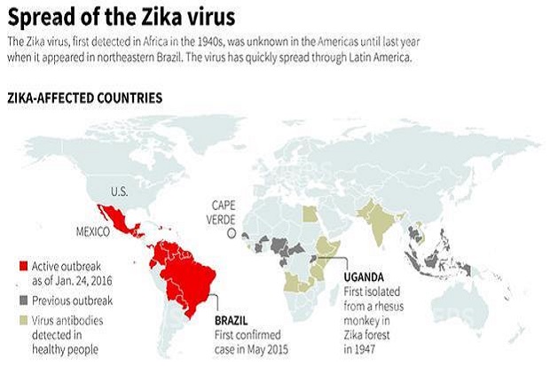 Virus Zika Menyebar di 23 Negara & Bisa Jangkiti 4 Juta Orang