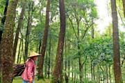 Tak Bakar Hutan, Perusahaan Ini Hadiahi Desa Rp100 Juta