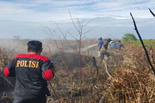 Polisi Amankan 6 Pelaku Pembakar Hutan dan Lahan