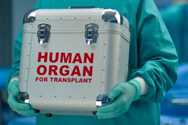 Menkes Tegas Larang Jual Beli Organ Tubuh