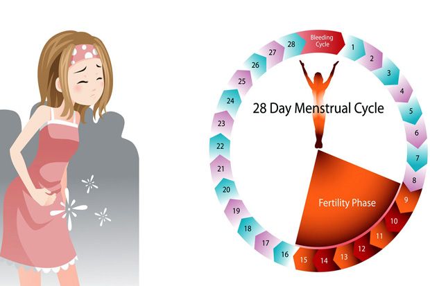 5 Siklus Menstruasi ini Menggambarkan Kesehatan Anda