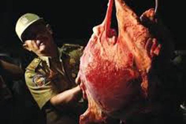 Daging Babi di Kulonprogo Dipasok dari Bantul