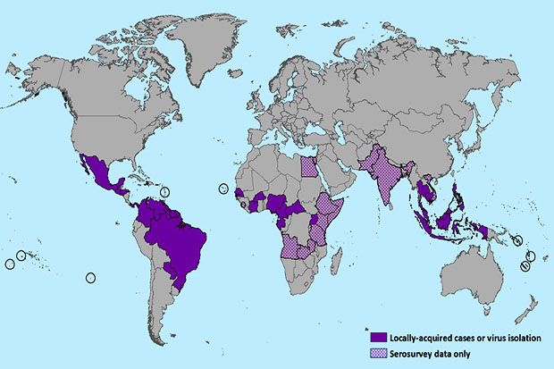 WHO Umumkan Vaksin Zika bakal ada 18 Bulan Lagi