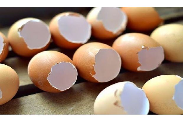 Mahasiswa di Malang Ciptakan Pasta Gigi Berbahan Cangkang Telur