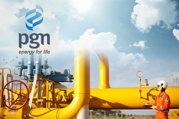 Menteri ESDM Sebut PGN Layak Jadi Agregator Gas Nasional