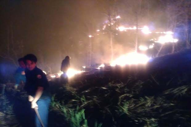 Kebakaran Hutan di Riau Masih Terjadi