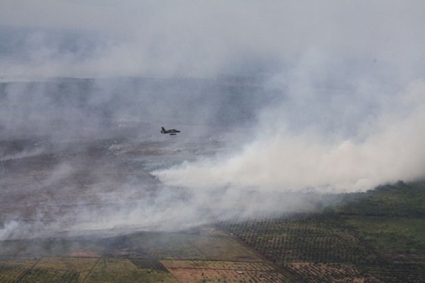Begini Penampakan Kebakaran Hutan di Riau dari Udara