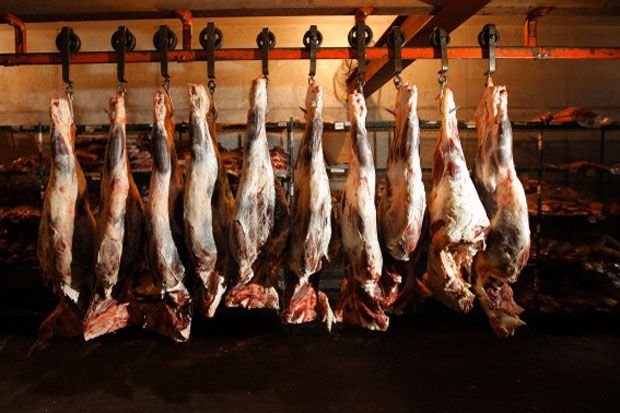 Peternak Protes Impor Daging Berbasis Zona