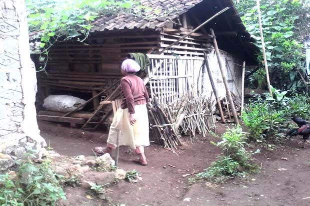 Nenek di Sukabumi Tinggal di Kandang Domba, Bupati Dimana?