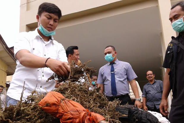 Polisi Musnahkan 8,9 Kg Ganja di Polresta Palembang