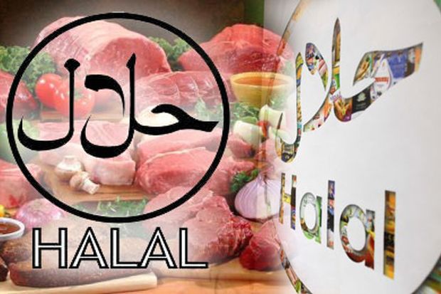 Contek Thailand, RI Bakal Kembangkan Kawasan Industri Halal