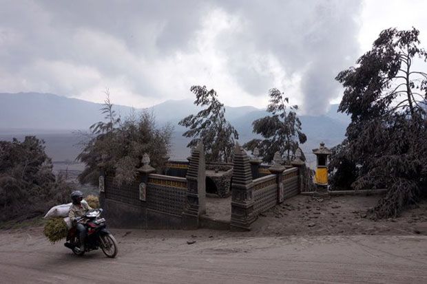 Hujan Abu Gunung Bromo Guyur Desa Ngadas