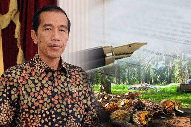Jokowi Siapkan Moratorium Lahan Kelapa Sawit dan Tambang