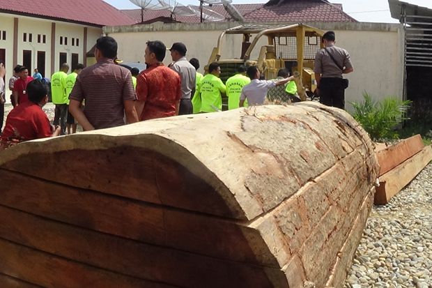 13 Pelaku Illegal Logging Ditangkap Aparat Polres Aceh Timur
