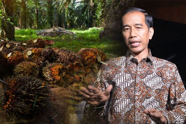 Jokowi Desak Perlakuan Adil Eropa terhadap CPO RI