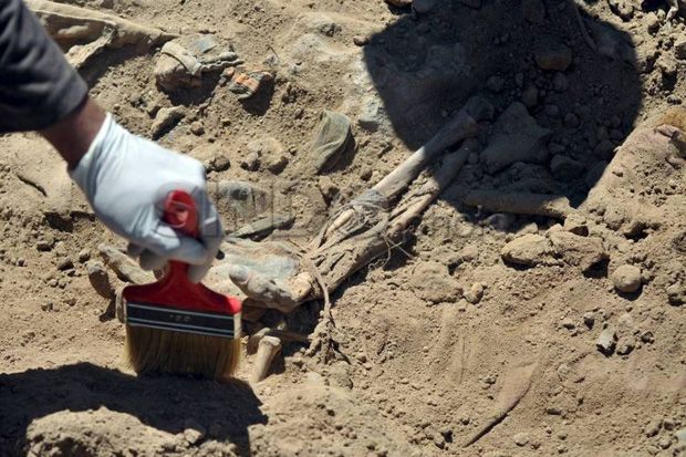 Eks Aktivis Lekra Siap Tunjukkan Kuburan Massal di Blitar Selatan