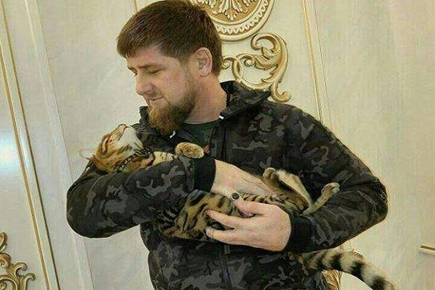 Kucing Peliharaan Hilang, Pemimpin Chechnya Panik