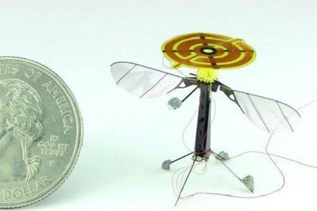 Robo-Bee, Drone Paling Kecil di Dunia