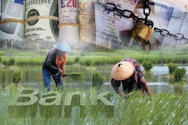 Sektor Pertanian RI Dinilai Masih Kesulitan Modal
