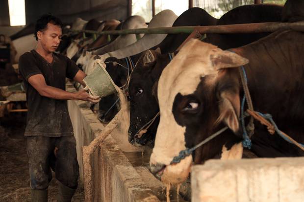 Mendag: Impor Daging Sapi Solusi Ramah Pasar