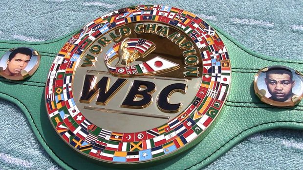 WBC Siapkan Sanksi Berat bagi Petinju Profesional yang Ikut Olimpiade Rio